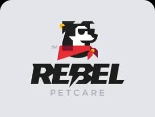 Illustrative Logo Design